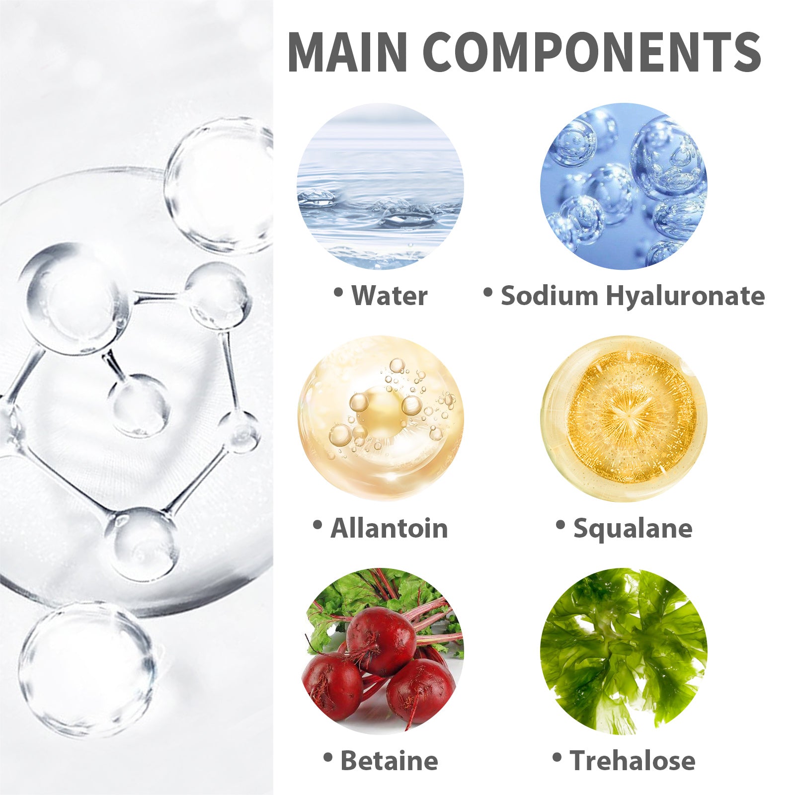 88443d43-1a56-412a-943d-ee346978ce68