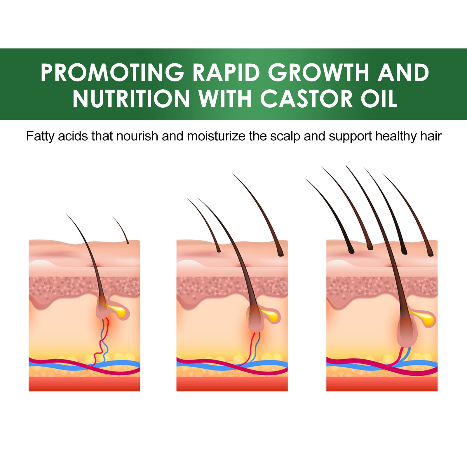 881d4ff1-f155-4e84-8d54-cd4394742a67