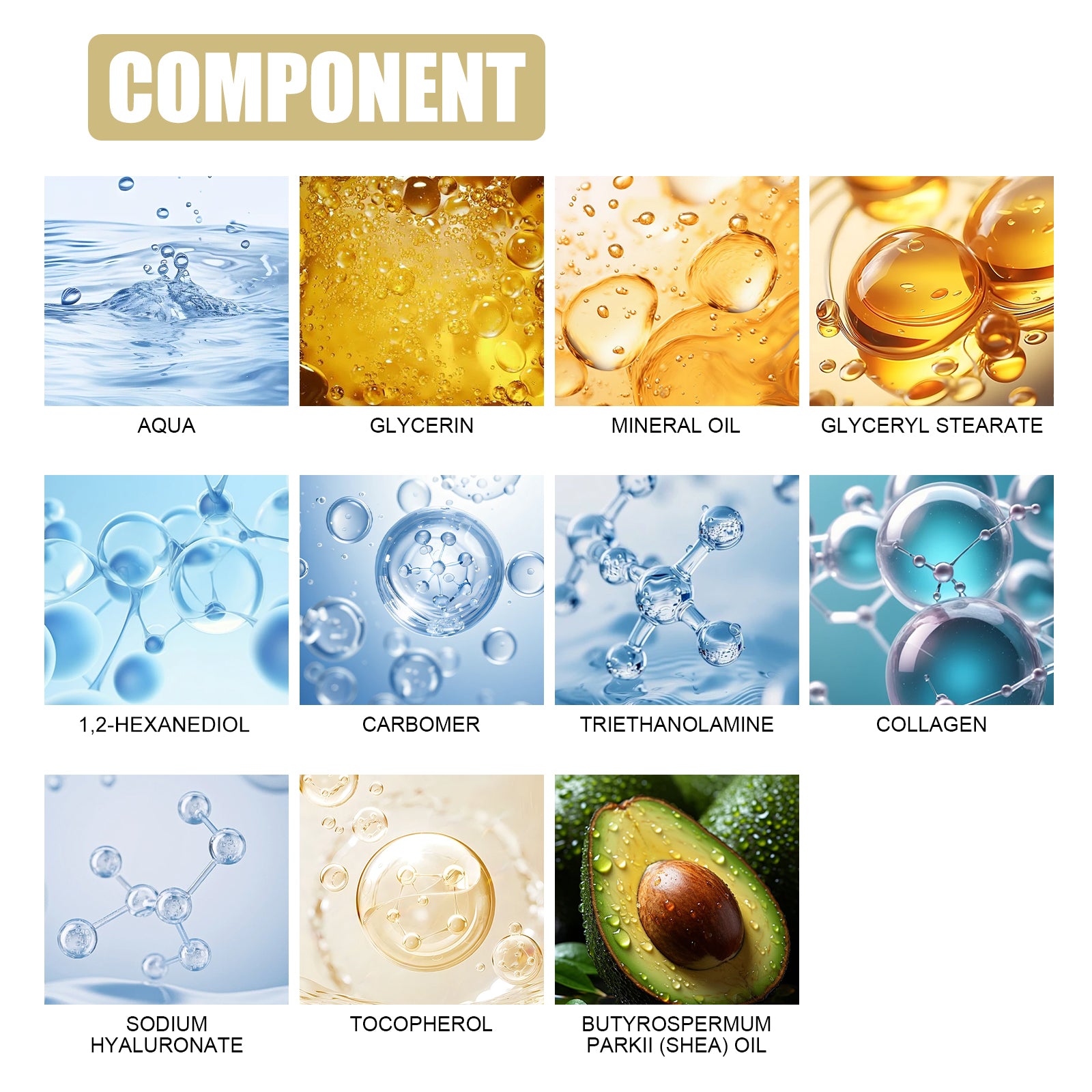 54caec02-616e-407f-80de-22e12b0d867e