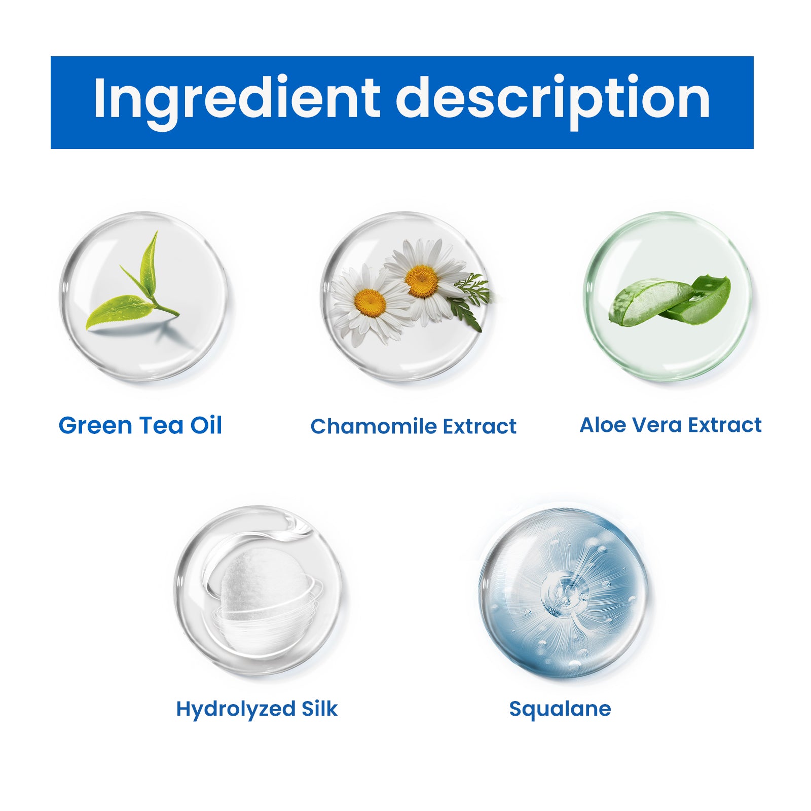 0b81ecec-a8a8-4dd4-ba92-e86f6855dffb