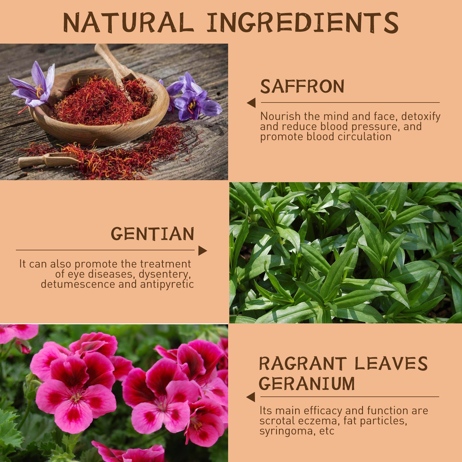 3fc99bae-3dff-4f61-ac5f-635bac9c6bcc