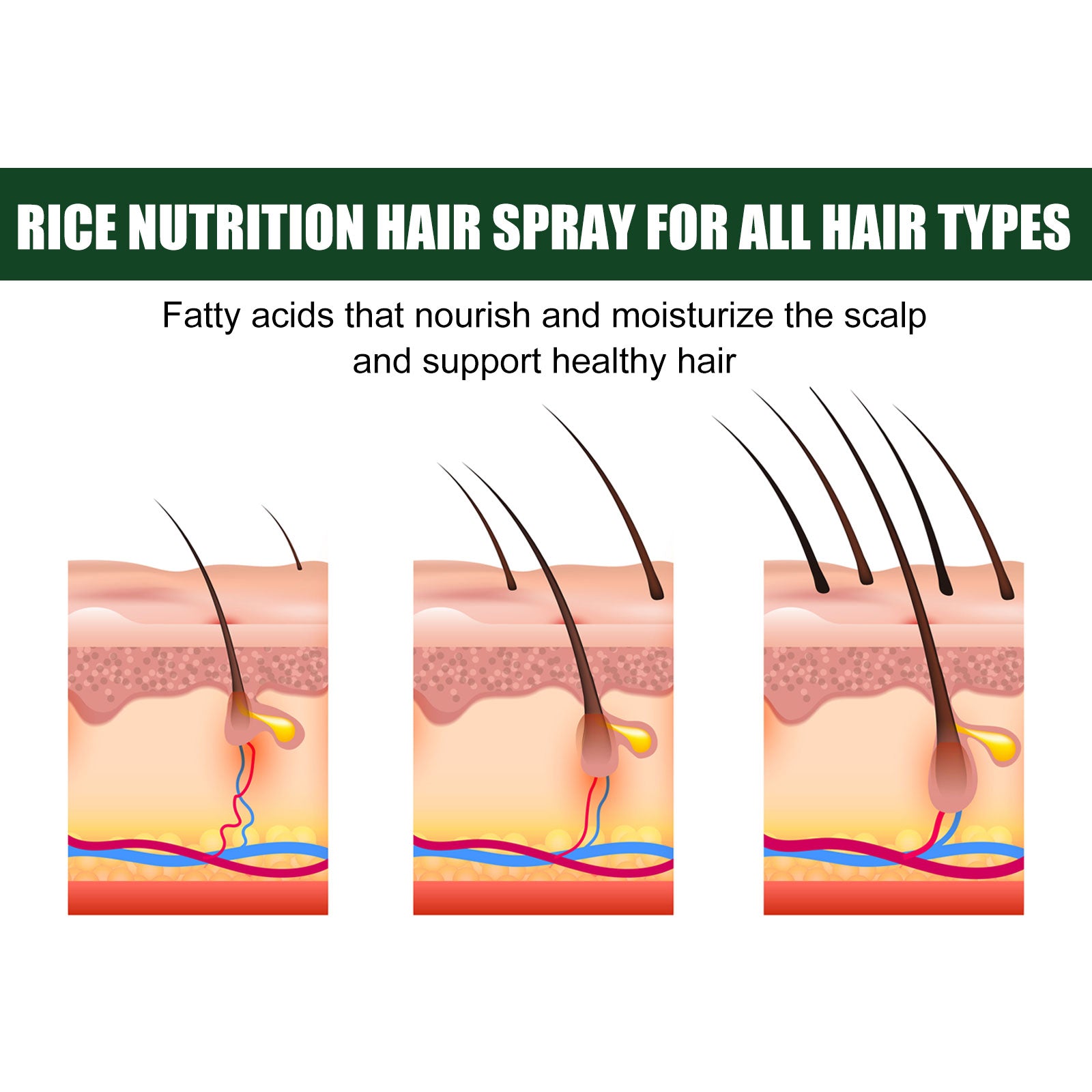 0ba6dfe2-9e0b-40b3-a16c-b7975d5d7018