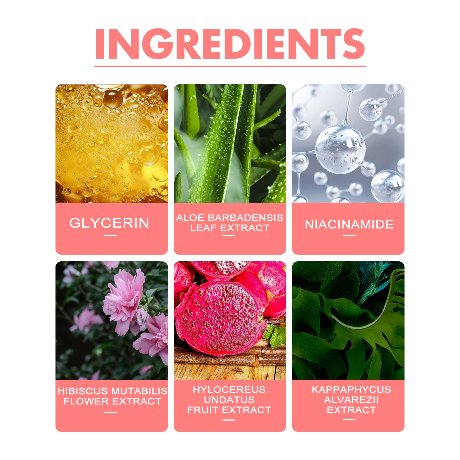 2480c1f1-54c1-4888-9436-471e7c7b6a29