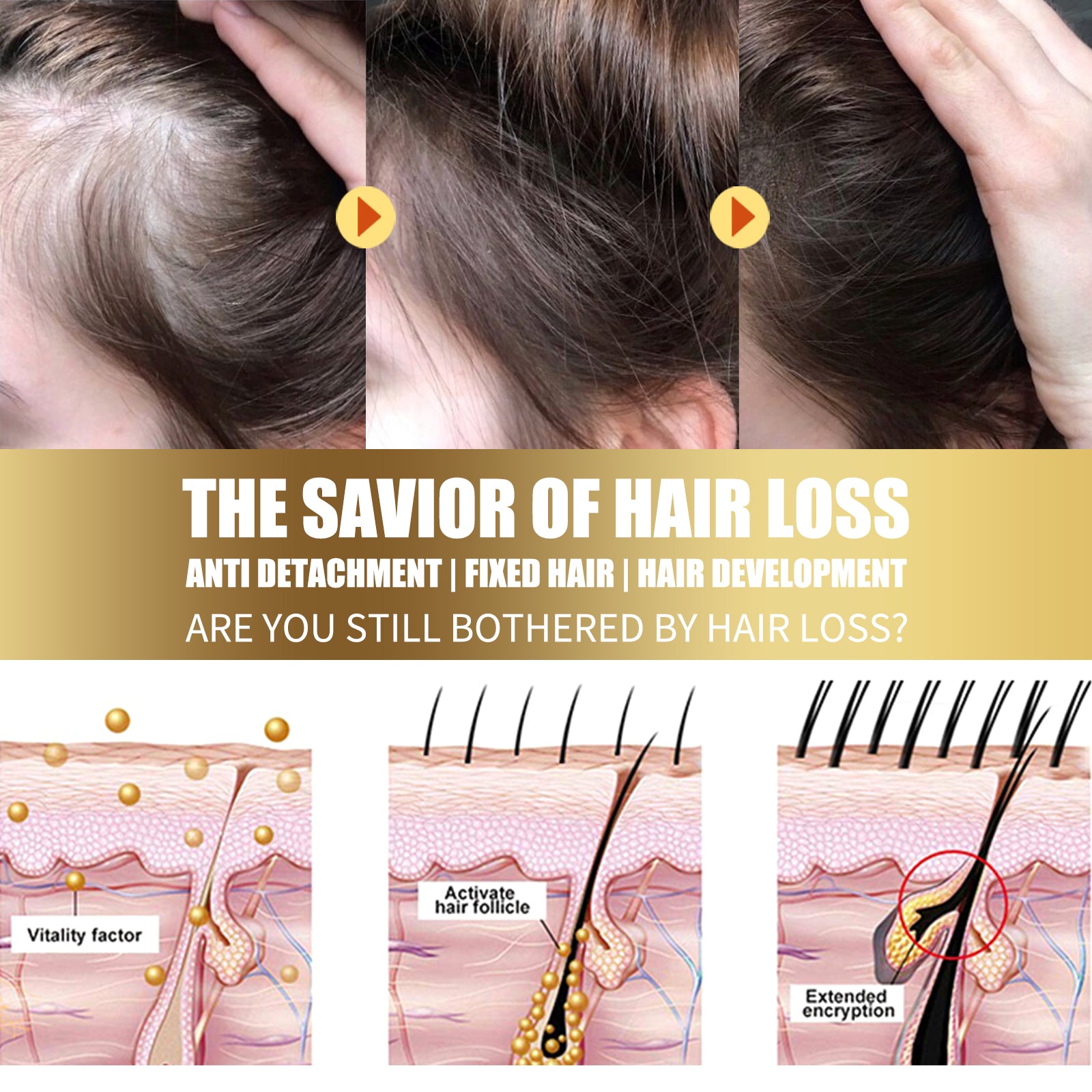 32d54729-4bd5-4a08-8d75-b72154ee7abc