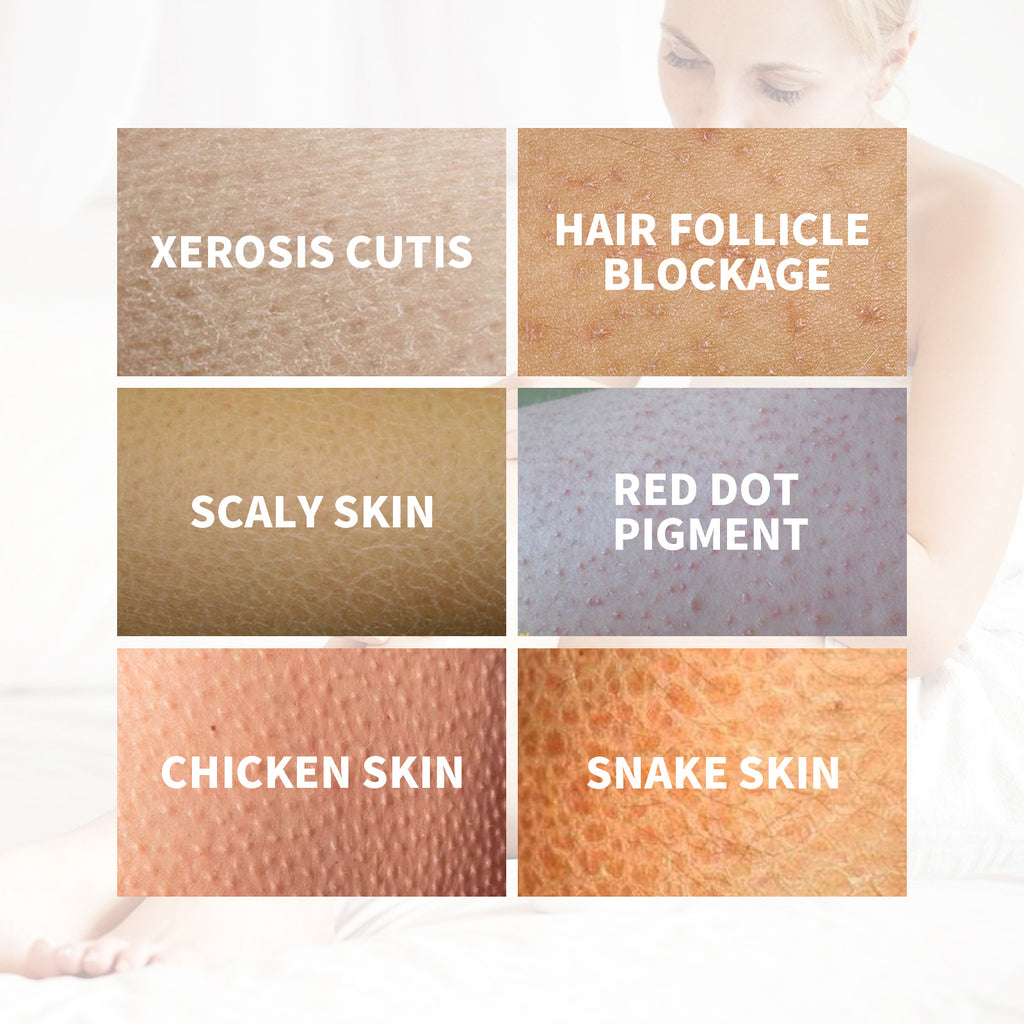 b9f17fda-c274-4064-a776-395a7bc5829d