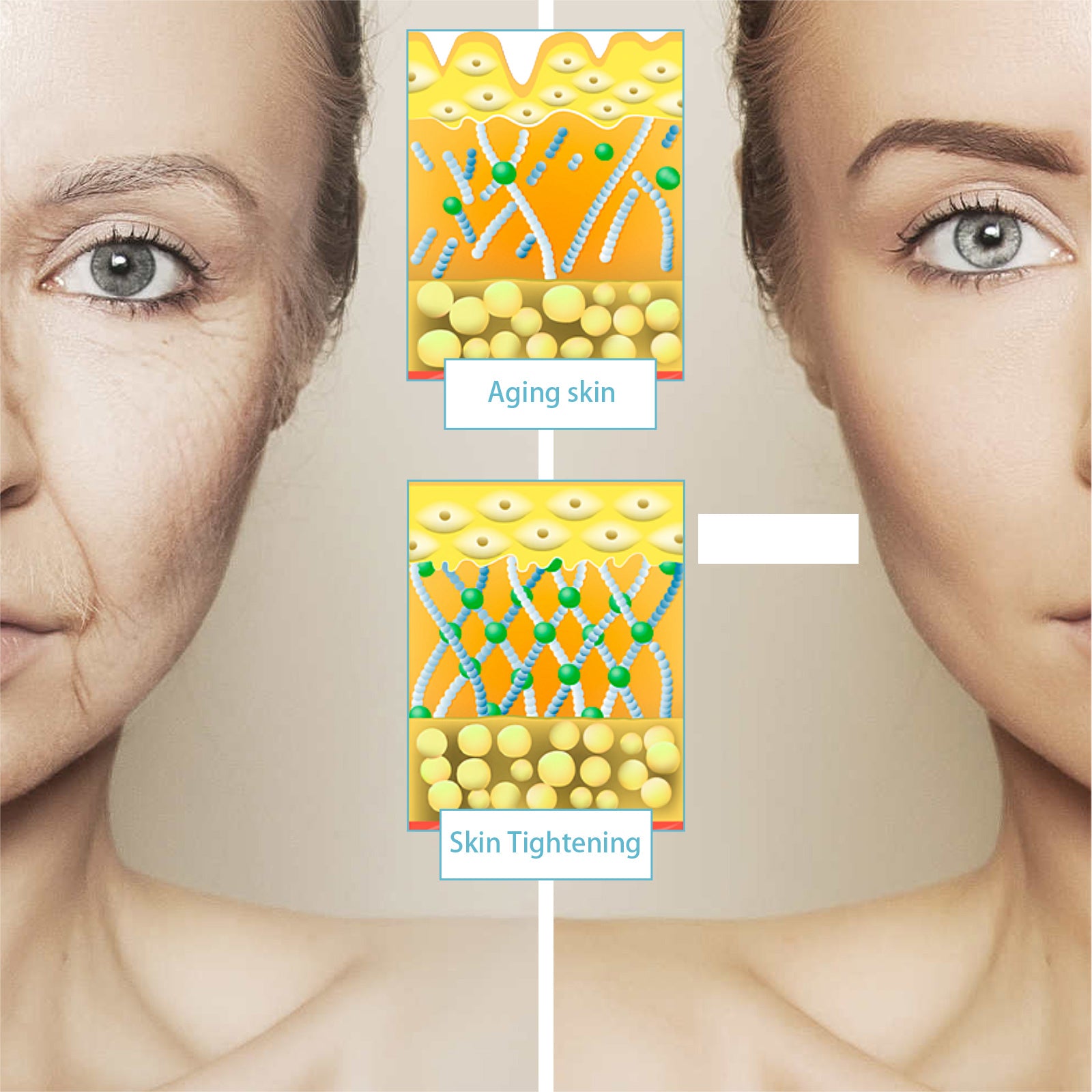 d0386a18-081e-4a36-b085-b2ea81c3a997