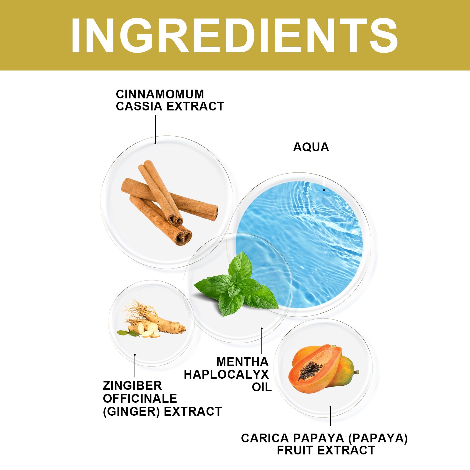 1897d854-64c4-473f-9281-8ecdaa87e28c