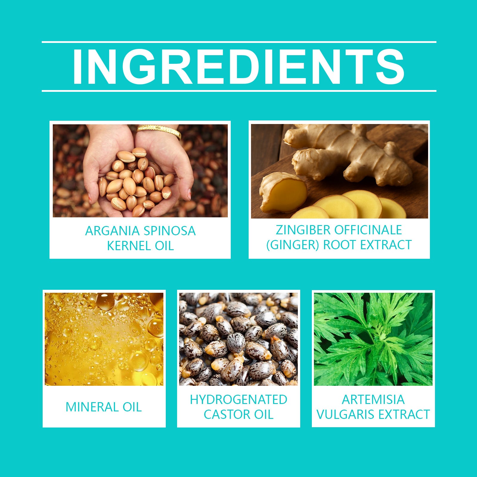 ad3910f0-8df4-4c06-9da1-f9a64c838663