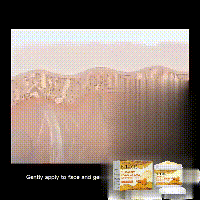 6c37b805-bcf6-4a76-a4c9-8e3f1a286466